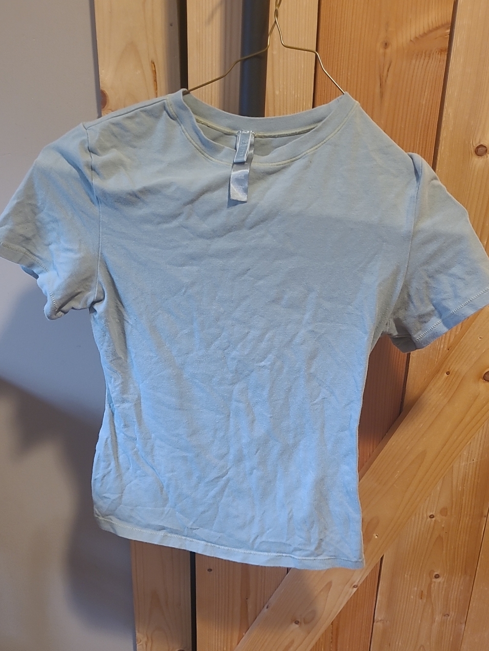 Skims Light Green Crewneck Tee